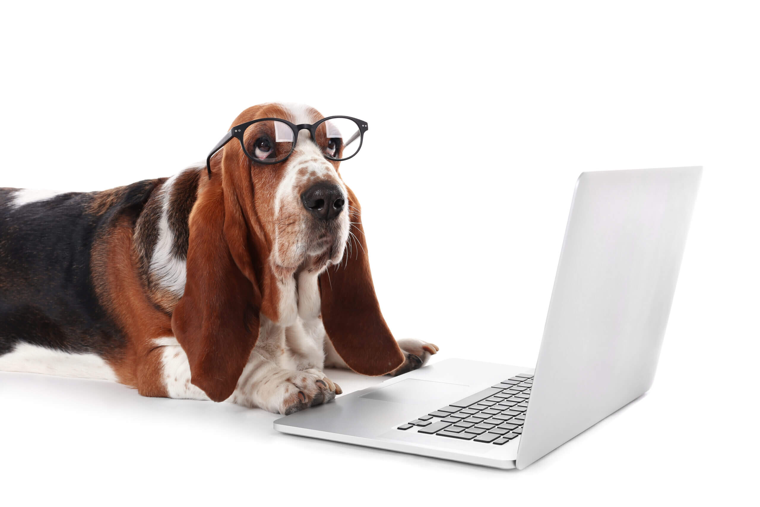 Old Drum Marketing Blogs