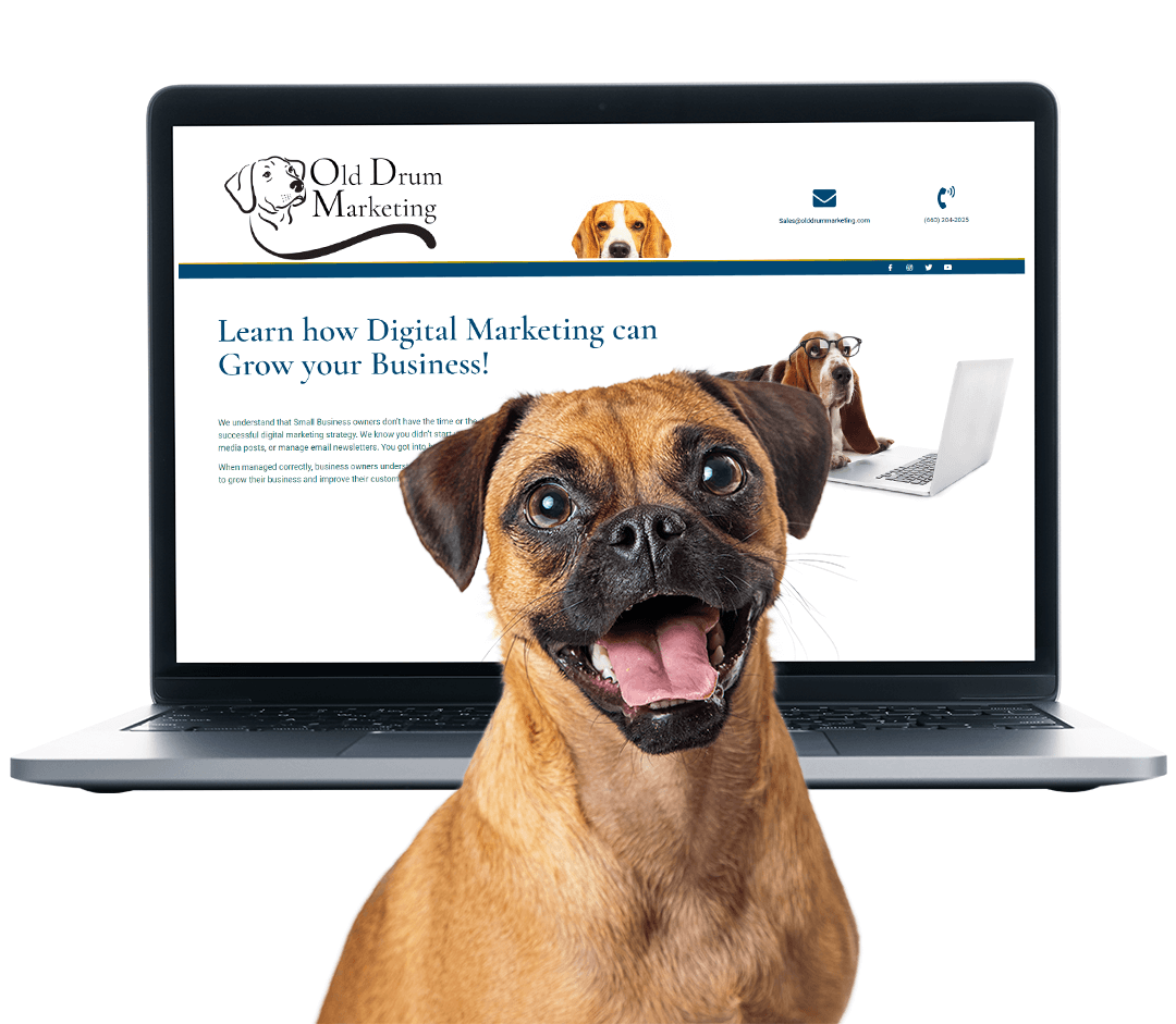 Old Drum Marketing can create, manage, and host your website.